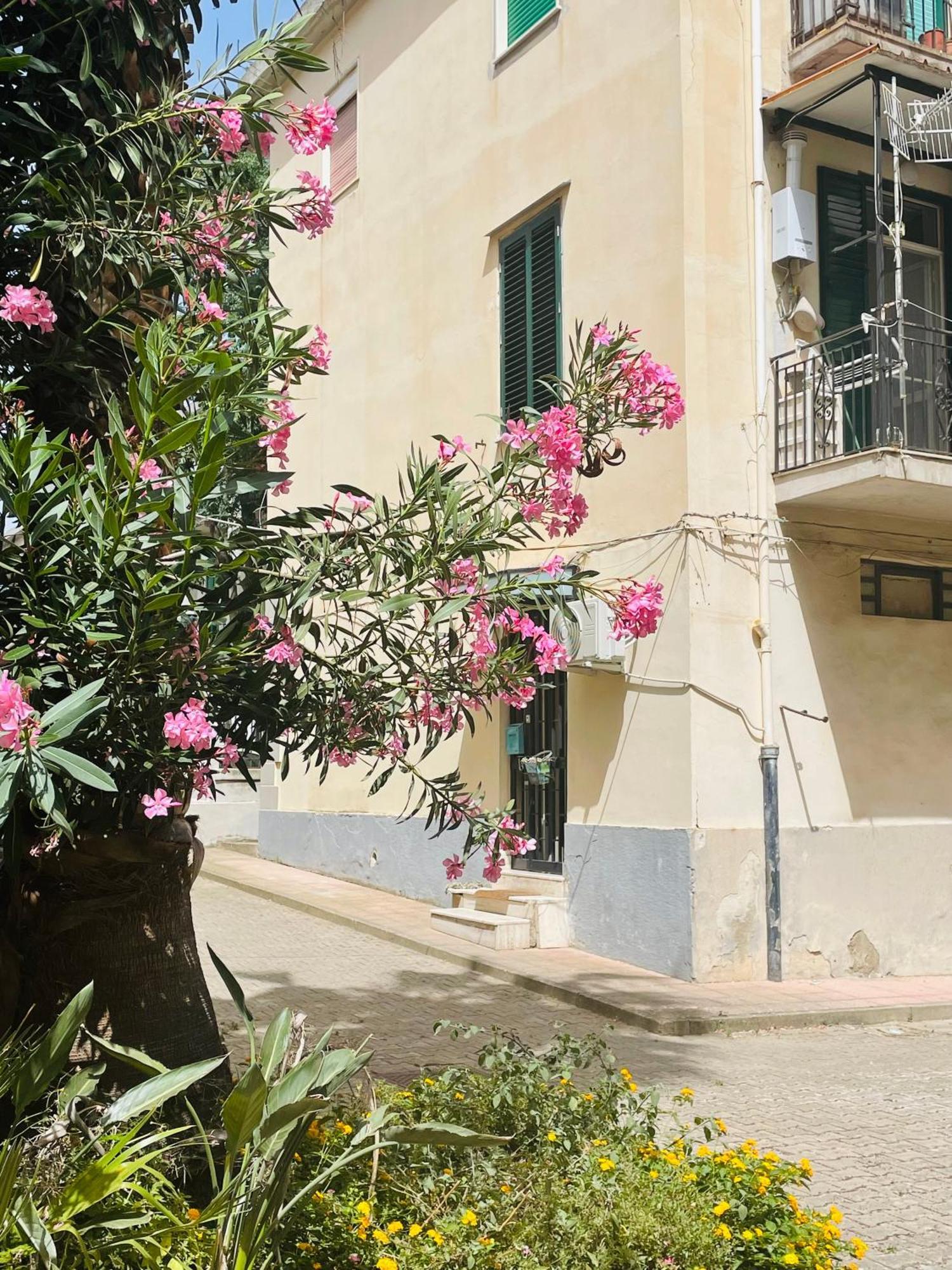 Your Temporary Home - City Center Messina Dış mekan fotoğraf
